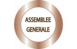 Assemblée Générale Elective de la Ligue