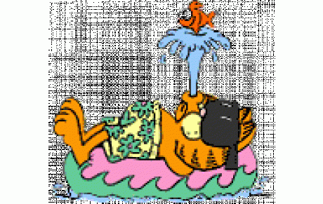 Fête des jeunes 2015